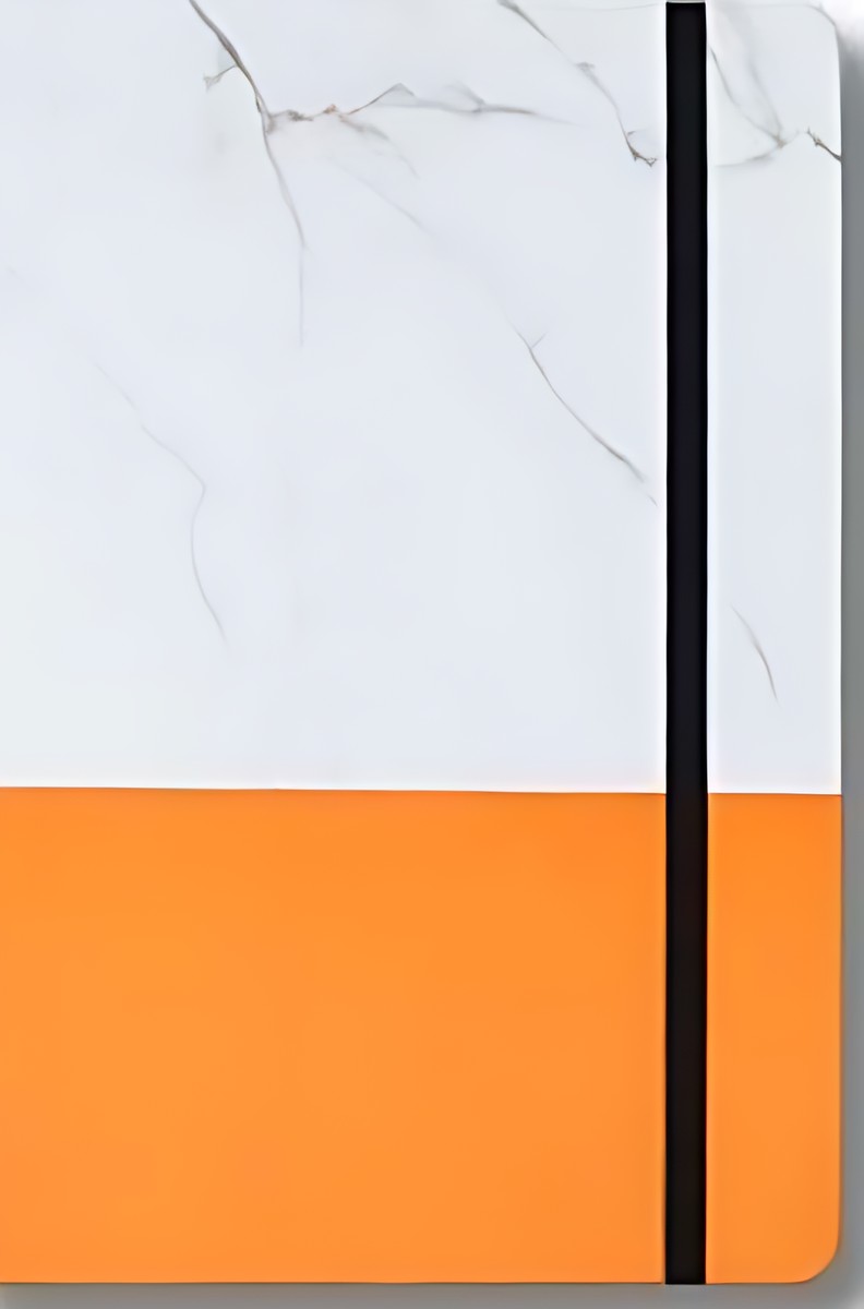 232 Orange Diary – corporate gift