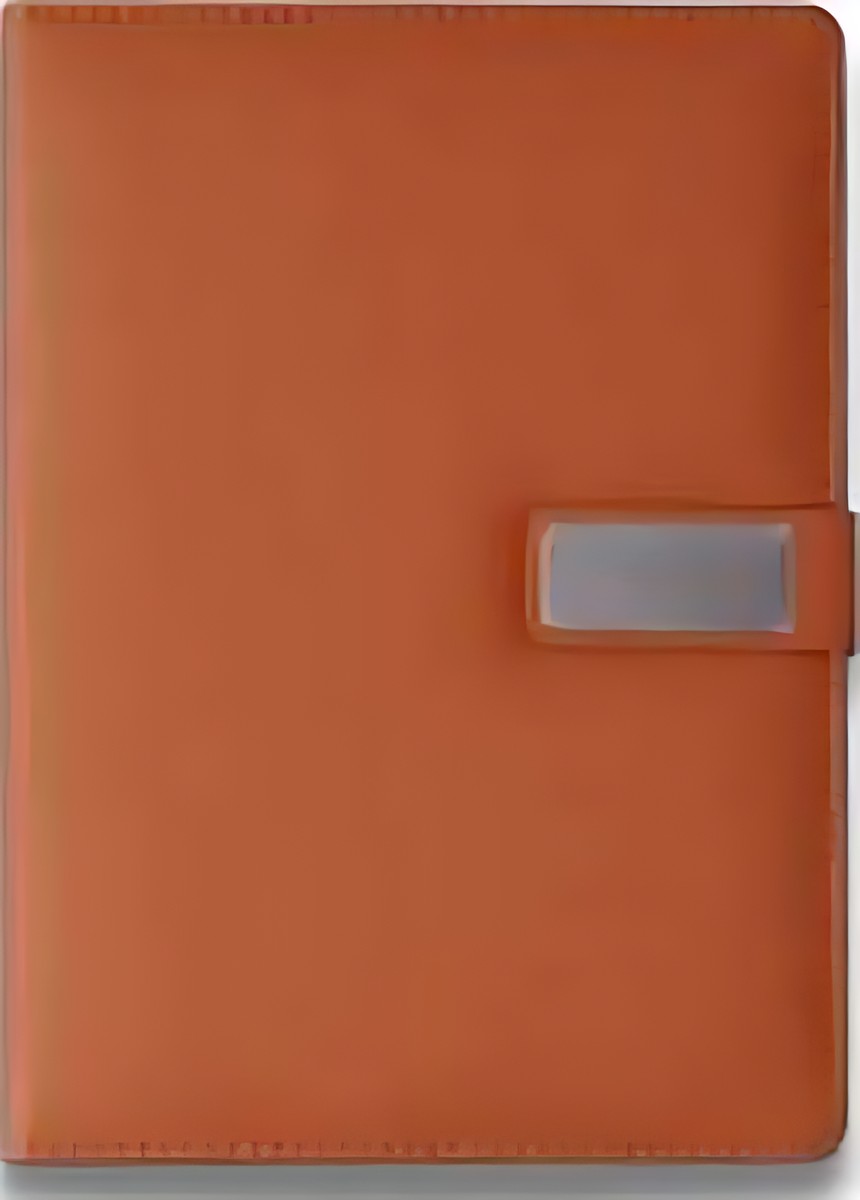 234 Tan Diary – corporate gift