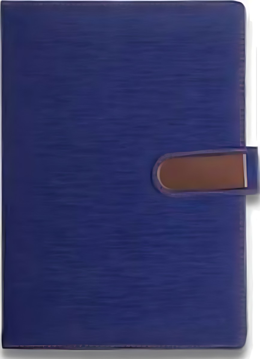 D-415 Blue RG Diary – corporate gift