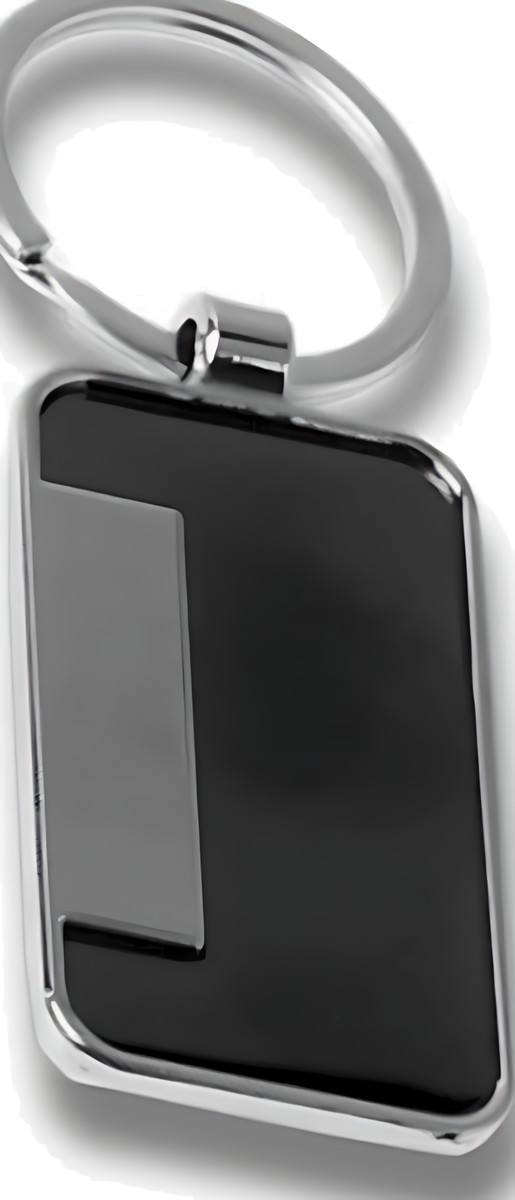 220 Keychain – corporate gift