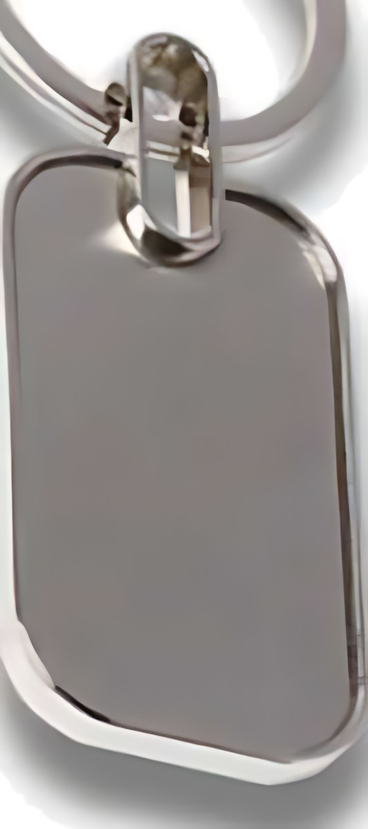 691 Silver Keychain – corporate gift