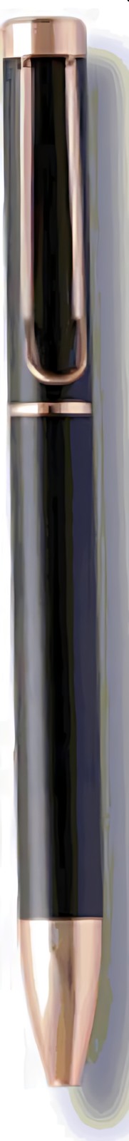 185 Lamy Cop BP Pen – corporate gift