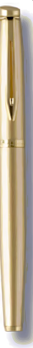 502 Gold Roller Pen