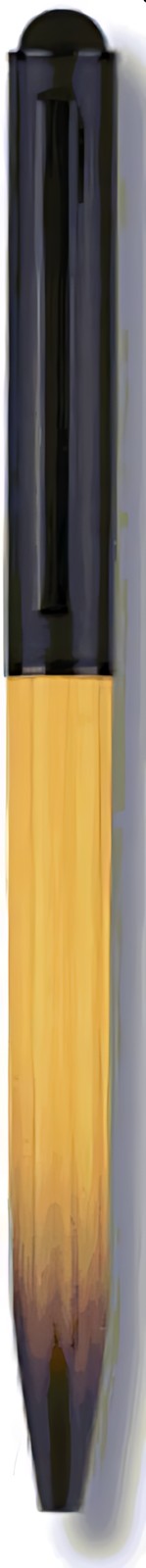 Gravity Dual Col Pen