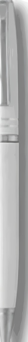 Navy White Pen