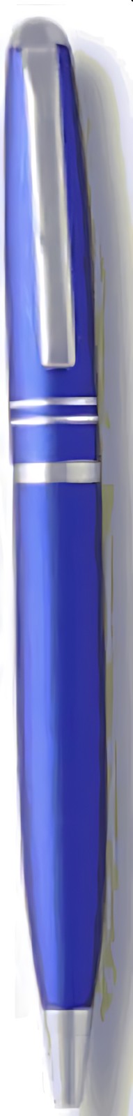 Navy Blue Pen